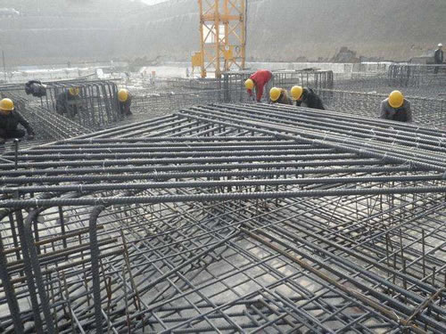 草莓视频在线观看网址