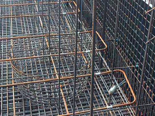 草莓视频在线观看网址