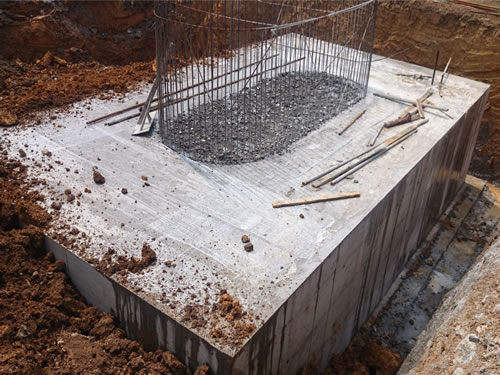 草莓视频在线观看网址